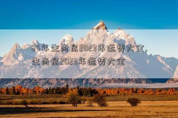 八四年属什么生肖