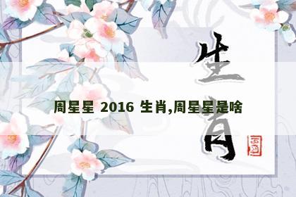 周星星 2016 生肖,周星星是啥